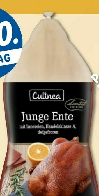Lidl Junge Ente Angebot