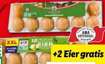 Lidl Eier Angebot
