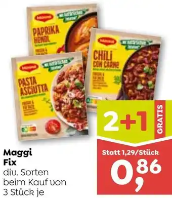 ADEG Maggi Fix Angebot