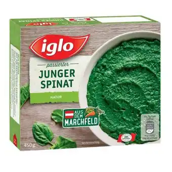 Spar Iglo Spinat passiert oder Cremespinat SPAR 450 Gramm 1 Packung Angebot