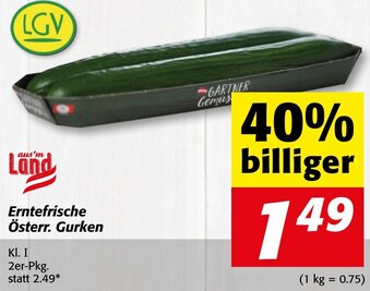 Strasser Markt Erntefrische Österr. Gurken Angebot