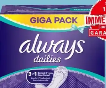 Spar Slipeinlagen Angebot