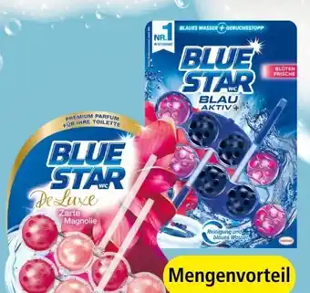 Spar WC-Steine Angebot