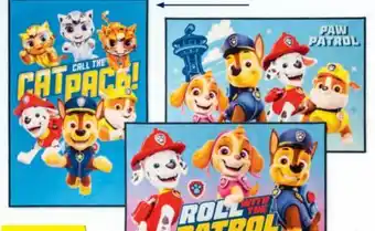 Hofer Kinder-Teppich Paw Patrol Angebot