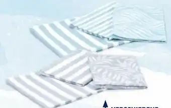 Hofer Geschirrtücher Angebot