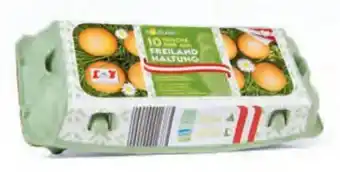 Hofer Eier Angebot