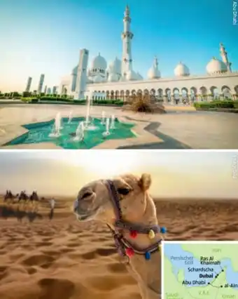Hofer Reisen Dubai Vereinigte Arabische Emirate Angebot