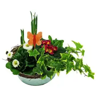 Hellweg Bepflanzte Zinkschale Angebot