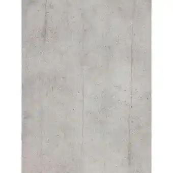 Hellweg Vielzweckplatte Beton Angebot