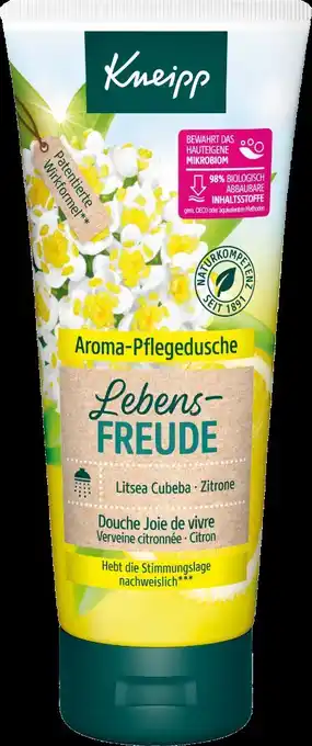 dm Dusche Angebot