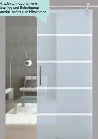 Hellweg Ganzglas-Schiebetür Edelstahl Open Angebot