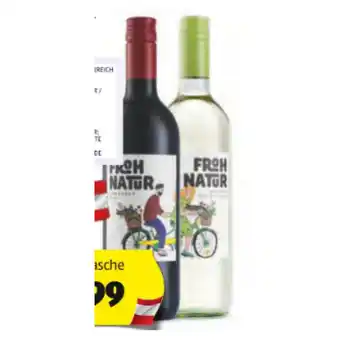 Hofer Frohnatur Wein div. Sorten HOFER 0.75 Liter 1 Flasche Angebot