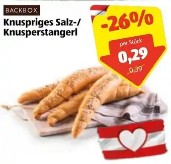 Hofer Backbox Knuspriges Salz-Knusperstangerl Angebot