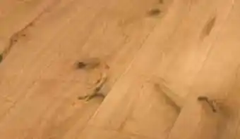 OBI Parkett Basic Character Eiche Naturöl Angebot