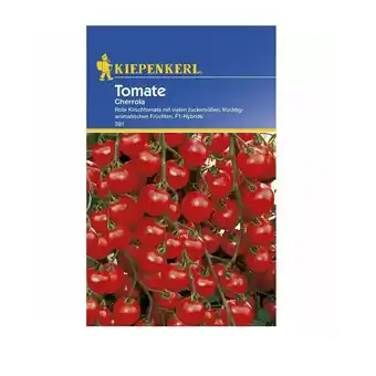 Hellweg Kiepenkerl Tomaten Cherrola F1 555660 HELLWEG 1 Packung Angebot