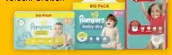 Müller Baby-Dry Windeln Angebot