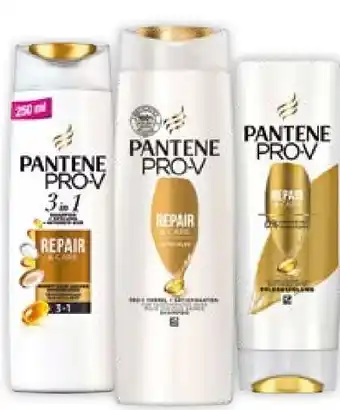 Müller Shampoo Angebot