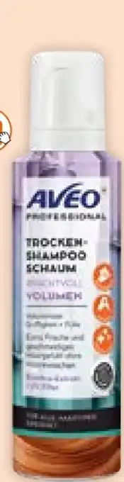 Müller Trockenshampoo Angebot