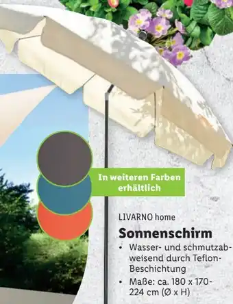 Lidl Sonnenschirm Angebot