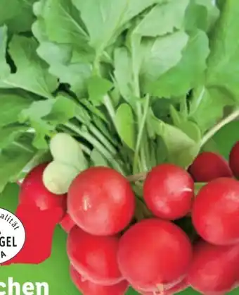 Lidl Radieschen Angebot