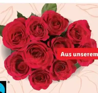 Lidl Schnittblumen Rosen Angebot