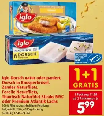 Interspar Iglo Dorsch Natur Oder Paniert Angebot