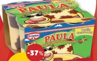 PENNY Paula Pudding Angebot