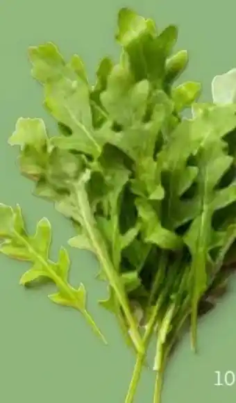 MPreis Rucola Angebot