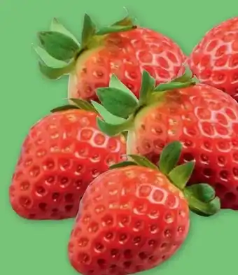 PENNY Premium Erdbeeren Angebot