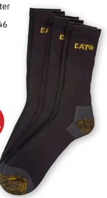 PENNY Herren Socken Angebot