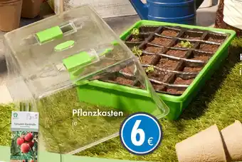 TEDi Pflanzkasten Angebot