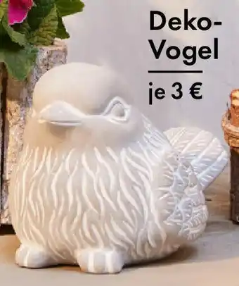 TEDi Deko- Vogel Angebot