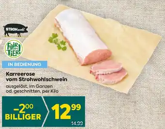 Billa Karreerose vom Strohwohlschwein Angebot