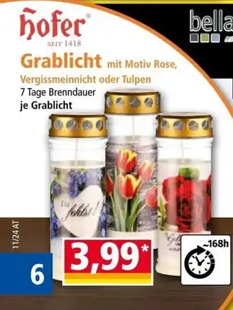 Norma Grablicht Angebot