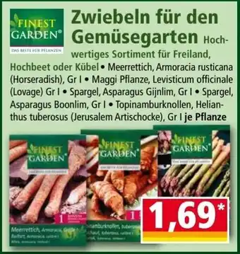 Norma Zwiebeln für den Gemüsegarten Angebot