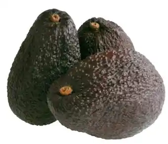 Transgourmet Avocado Hass Angebot