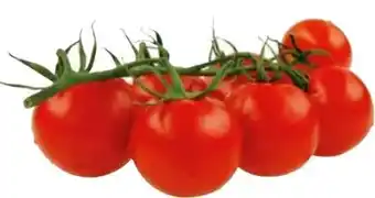 Transgourmet Cherry Rispentomaten Angebot