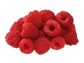 Transgourmet Himbeeren Angebot