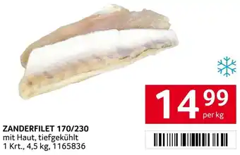 Transgourmet ZANDERFILET 4.5kg Angebot
