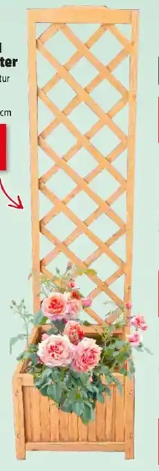 Thomas Philipps Pflanzkübel mit Rankgitter Angebot