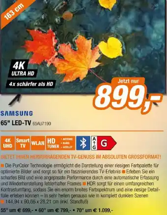 Expert 65" LED-TV 65AU7190 Angebot