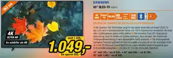 Expert Samsung 65" QLED-TV 65Q67A Angebot