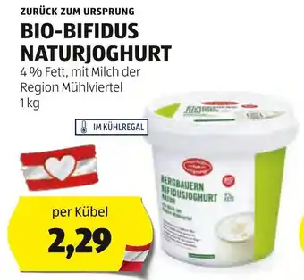 Hofer BIO-BIFIDUS NATURJOGHURT 1kg Angebot