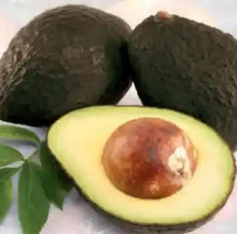 Hofer Avocados Angebot