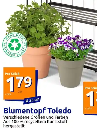 Action Blumentopf Toledo Angebot