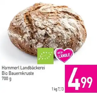 Sutterlüty Hammerl Landbäckerei Bio Bauernkruste 700g Angebot