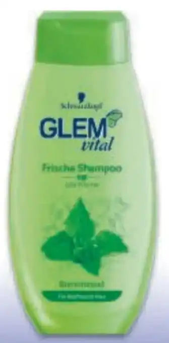 Metro Glem Vital Shampoo Angebot