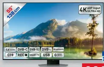 Metro Q-LED TV 55Q80C Angebot