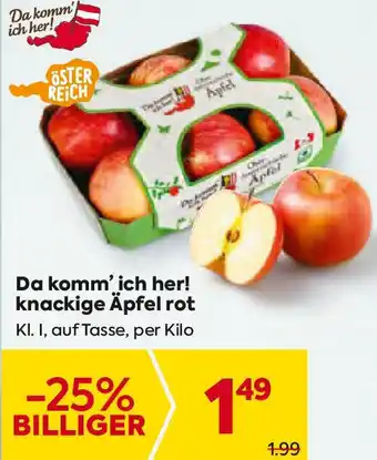 Billa knackige Äpfel rot Angebot