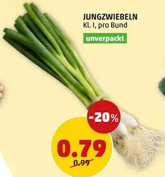 PENNY JUNGZWIEBELN Angebot